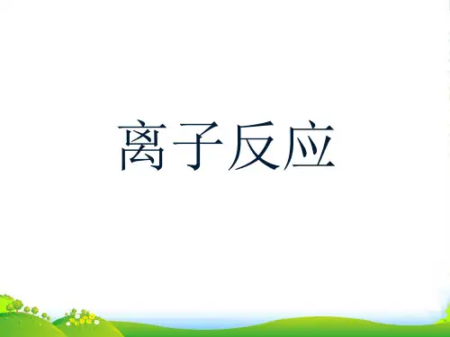 人教版高中化学必修一第二章第二节离子反应 课件.(共28张PPT)