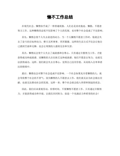 懒不工作总结