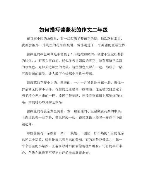 如何描写蔷薇花的作文二年级