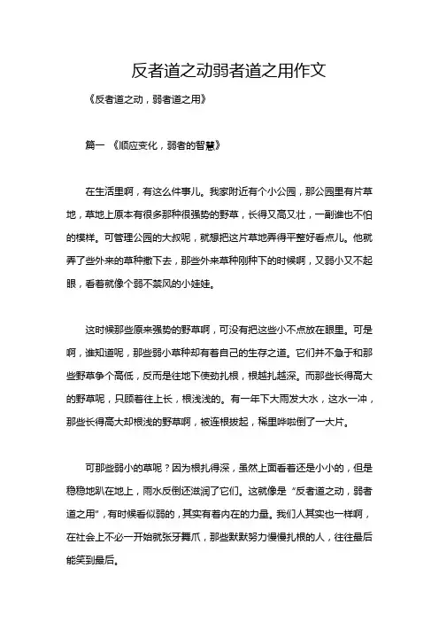 反者道之动弱者道之用作文