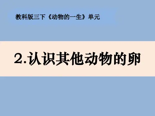 教科版新版小学科学三年级下册科学：2-2《认识其他动物的卵》(课件14ppt)