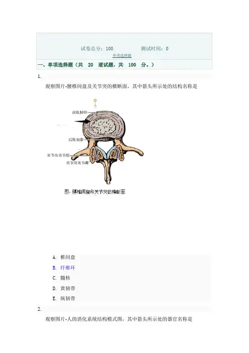 2020年国家开放大学电大解剖学试题及答案