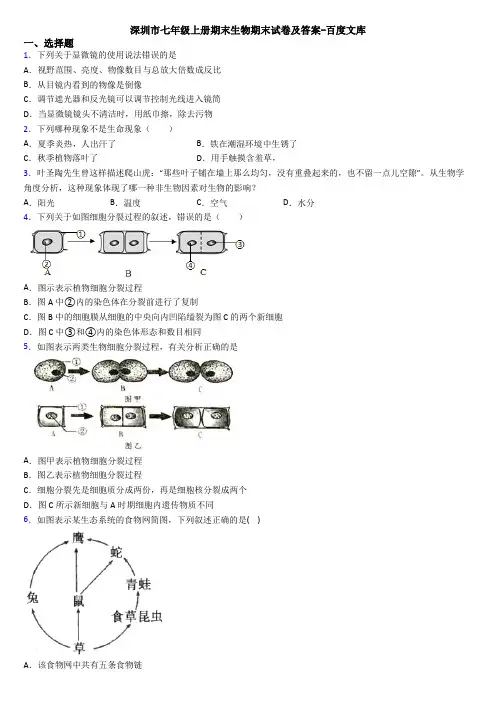 深圳市七年级上册期末生物期末试卷及答案-百度文库