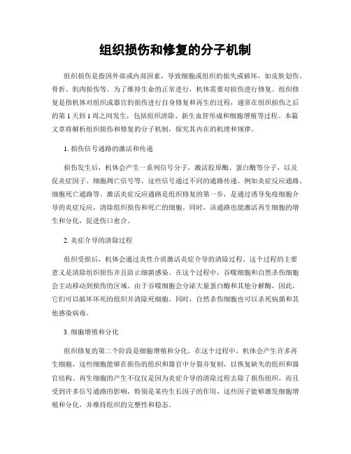 组织损伤和修复的分子机制