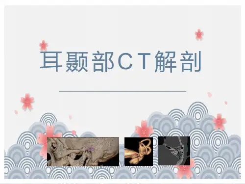 耳颞部影像解剖