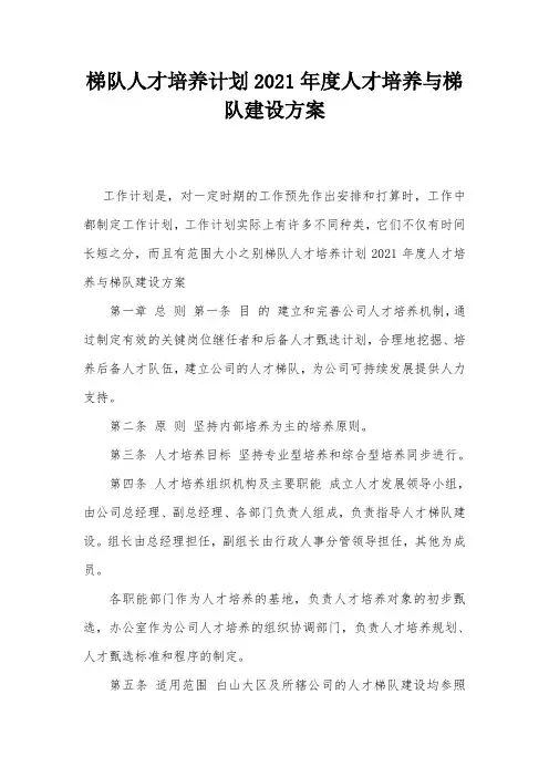 梯队人才培养计划2021年度人才培养与梯队建设方案
