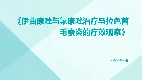 伊曲康唑与氟康唑治疗马拉色菌毛囊炎的疗效观察