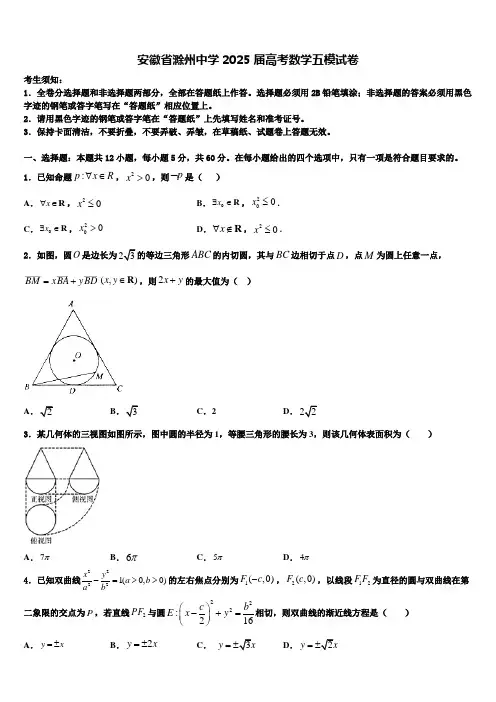 安徽省滁州中学2025届高考数学五模试卷含解析