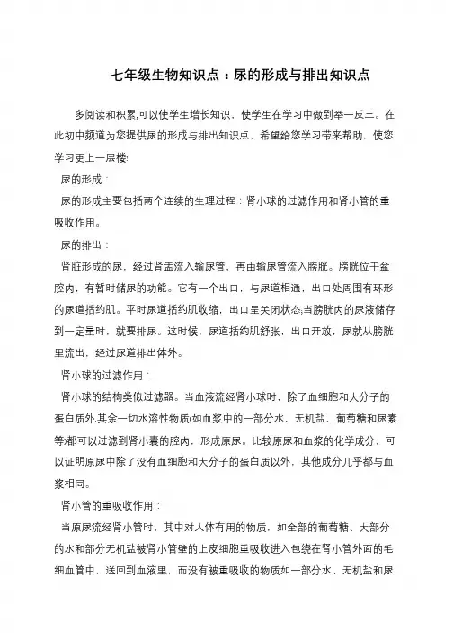七年级生物知识点：尿的形成与排出知识点