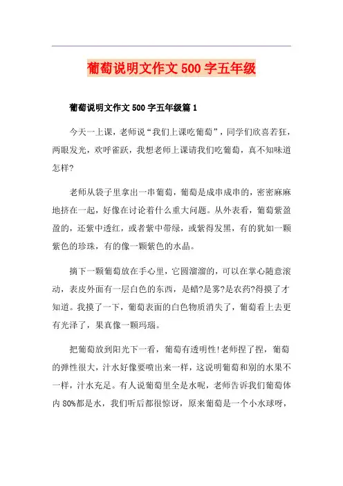 葡萄说明文作文500字五年级