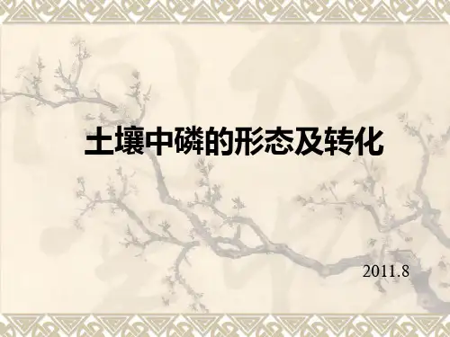土壤中磷的形态及转化..