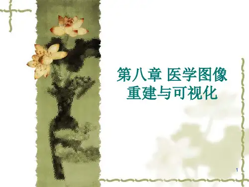 第章医学图像重建与可视化