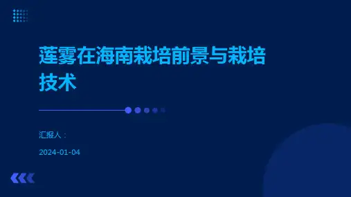 莲雾在海南栽培前景与栽培技术