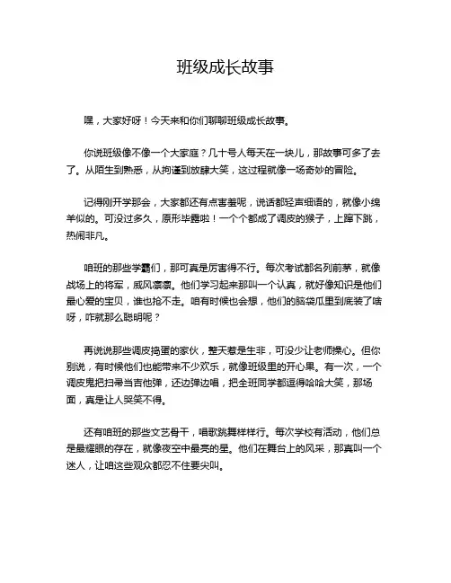 班级成长故事