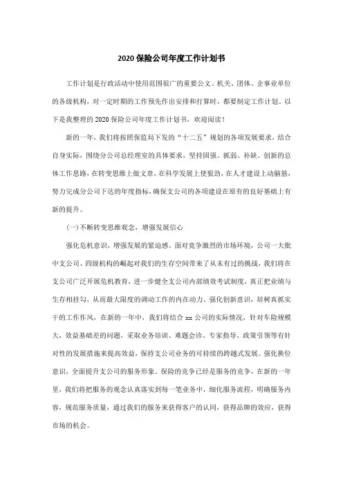 2020保险公司年度工作计划书