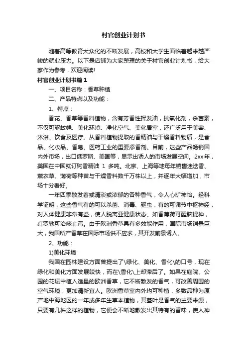 村官创业计划书