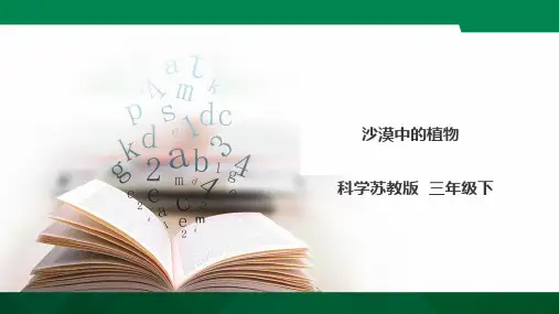 三年级下册科学《沙漠中的植物》苏教版