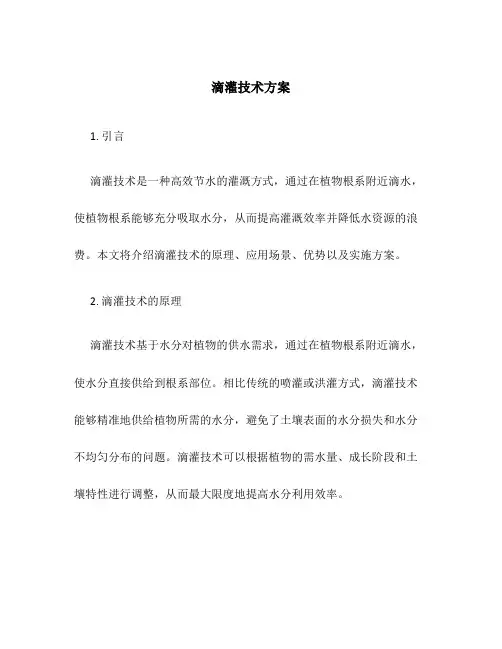 滴灌技术方案