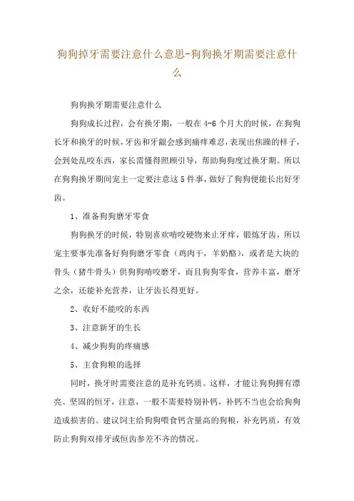 狗狗掉牙需要注意什么意思-狗狗换牙期需要注意什么