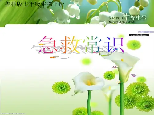 鲁科五四学制版七年级下册生物：第二节 急救常识