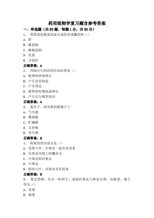 药用植物学复习题含参考答案