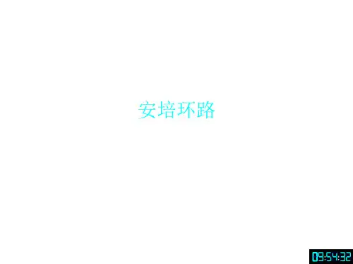 安培环路