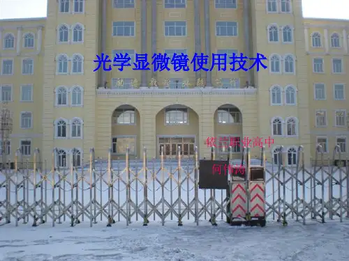 显微镜课件