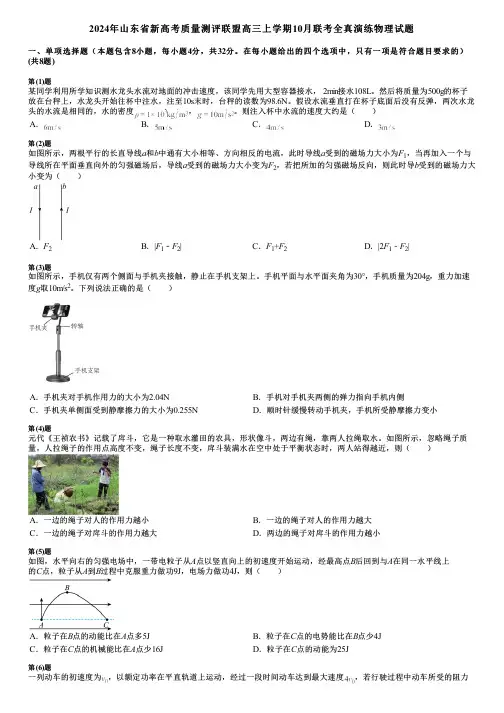 2024年山东省新高考质量测评联盟高三上学期10月联考全真演练物理试题
