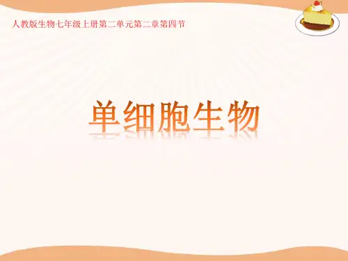单细胞生物说课课件(人教版生物)