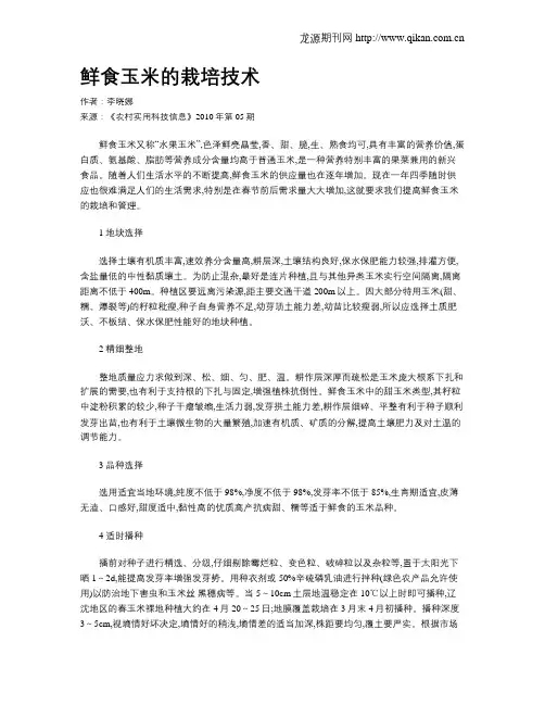 鲜食玉米的栽培技术