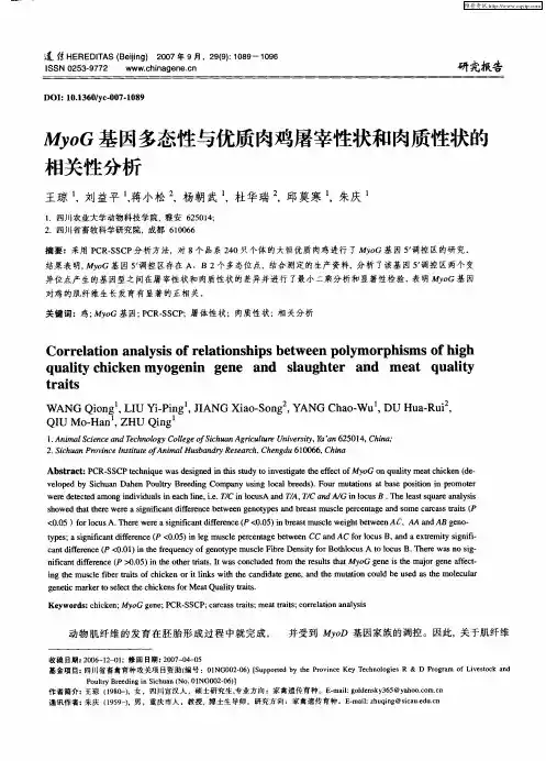 MyoG基因多态性与优质肉鸡屠宰性状和肉质性状的相关性分析