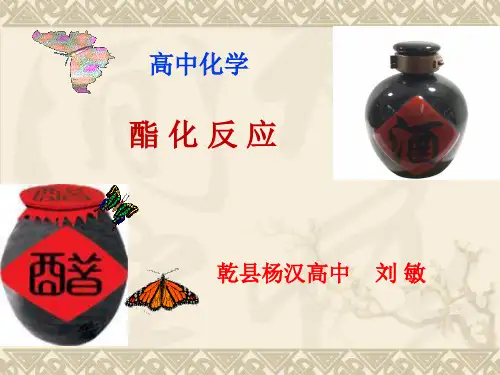 乙酸和乙醇的酯化反应