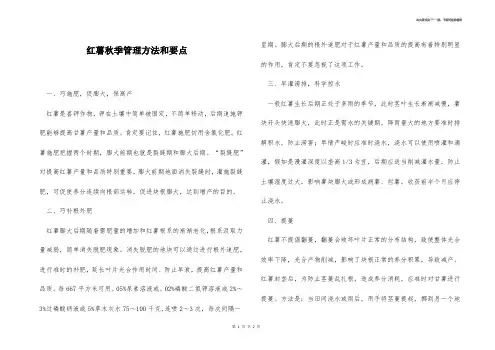 红薯秋季管理方法和要点 