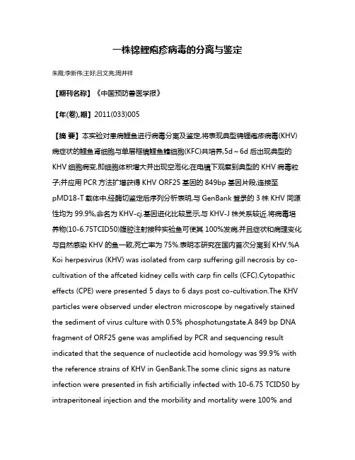 一株锦鲤疱疹病毒的分离与鉴定