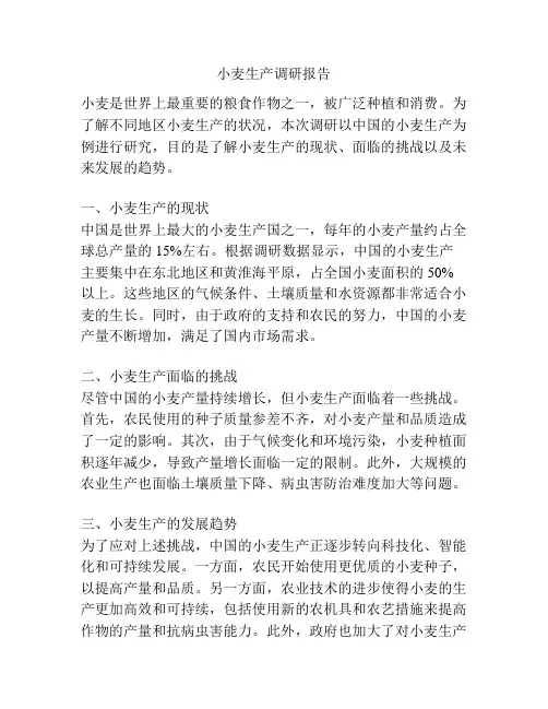 小麦生产调研报告