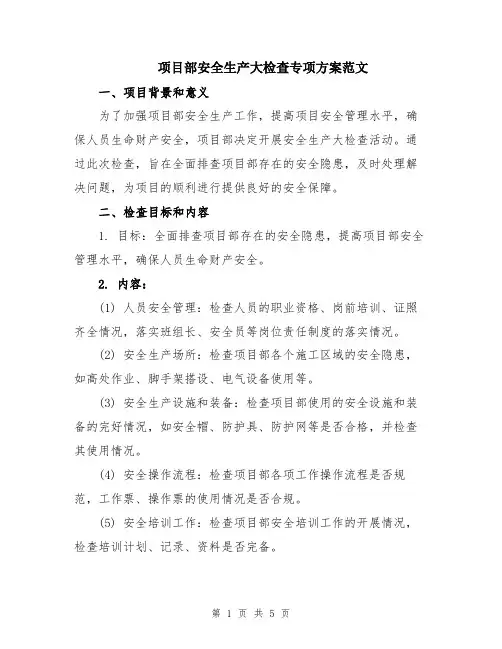 项目部安全生产大检查专项方案范文