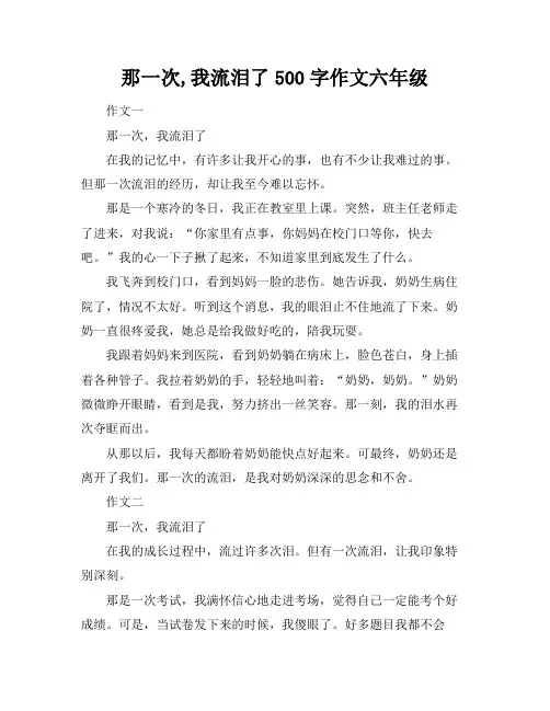 那一次,我流泪了500字作文六年级