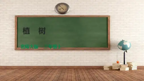 北师大版数学三年级上册 第四单元《植树》课件(28张PPT)