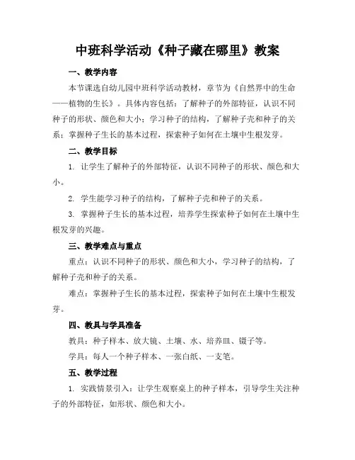 中班科学活动《种子藏在哪里》教案
