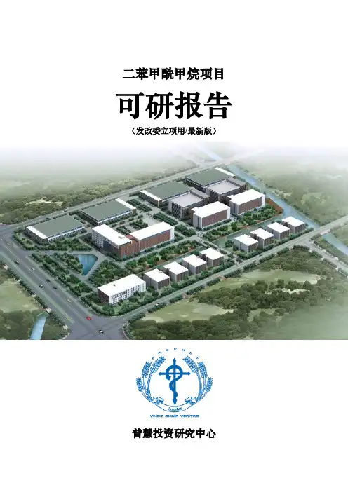 二苯甲酰甲烷项目可研报告发改委立项用(最新版)