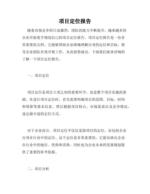 项目定位报告