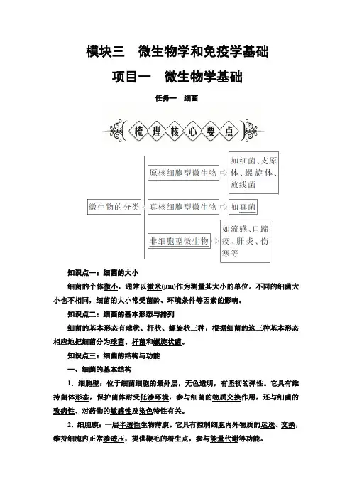 兽医基础 模块3微生物学和免疫学基础 项目1微生物学基础