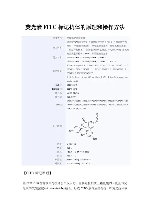 荧光素FITC标记抗体的原理和操作方法