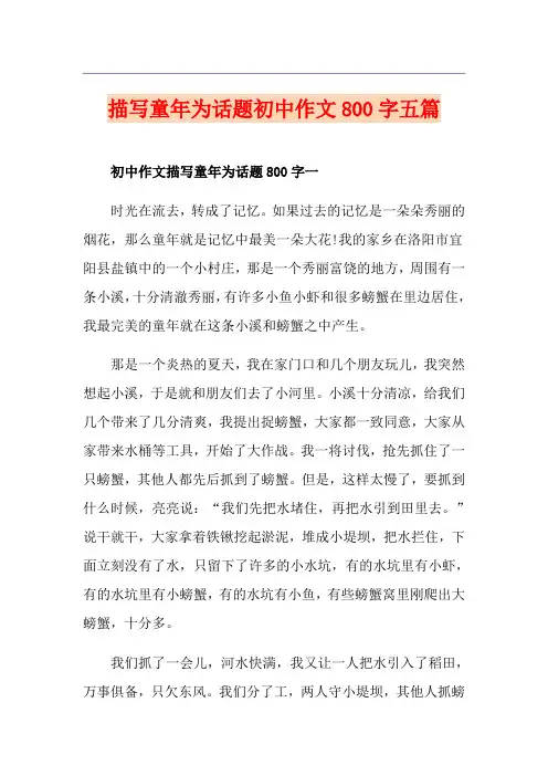 描写童年为话题初中作文800字五篇