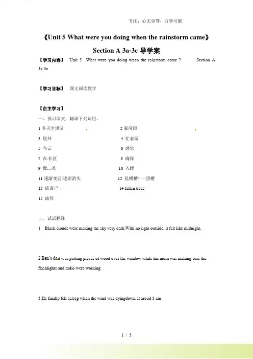 人教版八年级英语下册《Unit 5 What were you doing when the rai