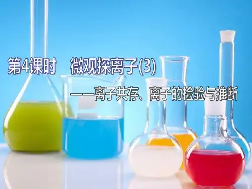 第4课时 微观探离子(3)——离子共存、离子的检验与推断(59张PPT)