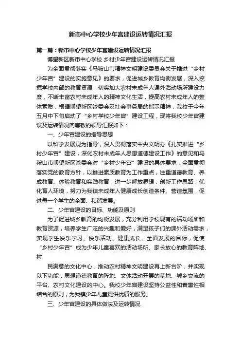 新市中心学校少年宫建设运转情况汇报