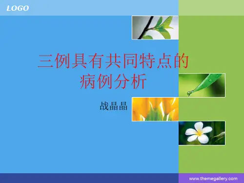 分水岭梗死 PPT课件