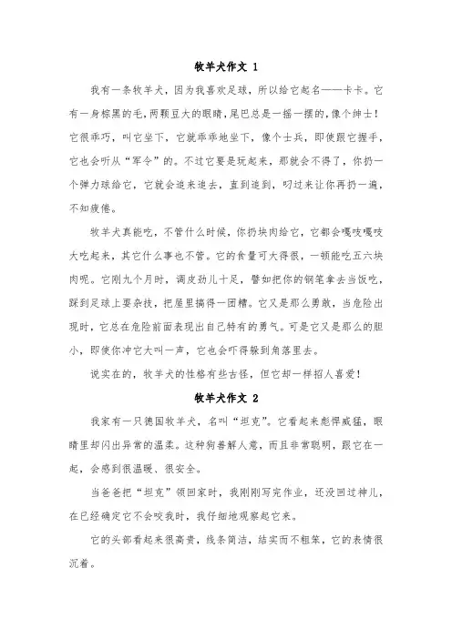 我的动物朋友牧羊犬好作文精选