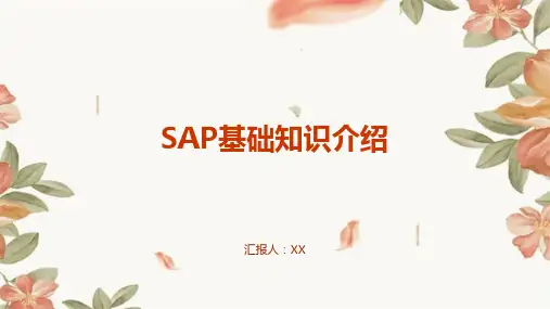 SAP基础知识介绍